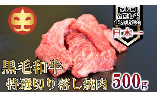 【うしの中山】 切り落とし 焼肉 用 500g
