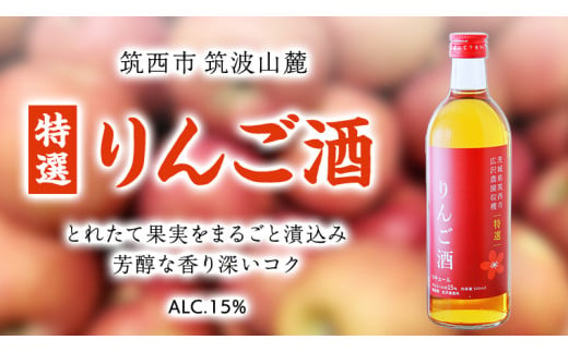 【 特選 】 りんご酒 アルコール 15％ （ 500ml × 1本 ） 果実酒 お酒 酒 リンゴ りんご 林檎 [DP006ci]