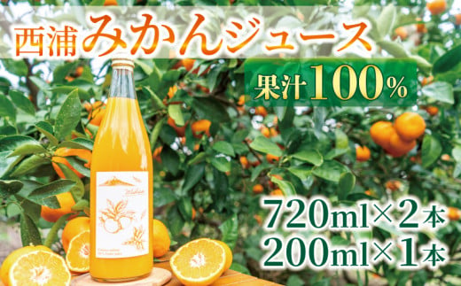 果汁 100％  みかん ジュース  720ml × 2本 200ml × 1本 西浦 オレンジ 飲み物 静岡 沼津