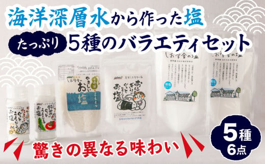 【 海洋深層水 の 塩  】バラエティ セット たっぷり５種（６点）  米 おにぎり 野菜 玉子 など素材の 旨味が引き立つ  調味料 日用品  お弁当 ギフト  贈り物  にも おすすめ 三重県 尾鷲 しお学舎  MO-21 1168129 - 三重県尾鷲市