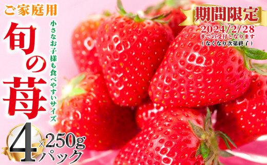 5-286 【2024年発送 家庭用】いちご 1㎏(250g×4パック) Sサイズ