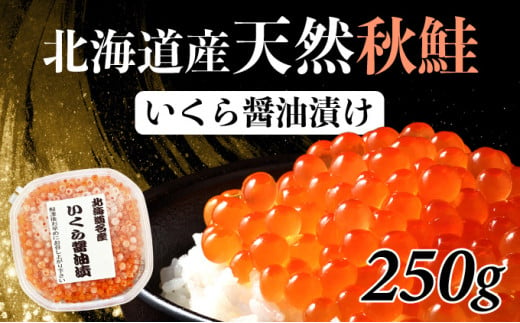 北海道産 天然秋鮭 いくら醤油漬け 250g(250g×1) いくら イクラ ikura 筋子 秋鮭 鮭いくら 鮭卵 冷凍 2025 ふるさと納税 北海道 登別市