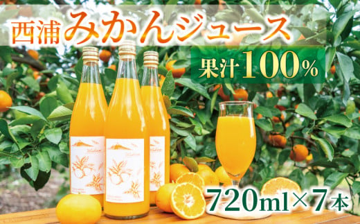 【価格改定予定】果汁 100％  みかん ジュース  720ml × 7本 西浦 オレンジ 飲み物 静岡 沼津