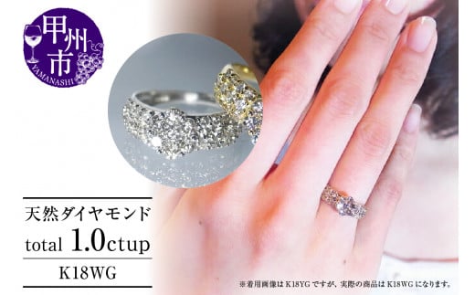 指輪 天然 ダイヤモンド 1.0ct パヴェ SIクラス Renne ルネ【K18 WG】 r-174（KRP）P61-1411 -  山梨県甲州市｜ふるさとチョイス - ふるさと納税サイト