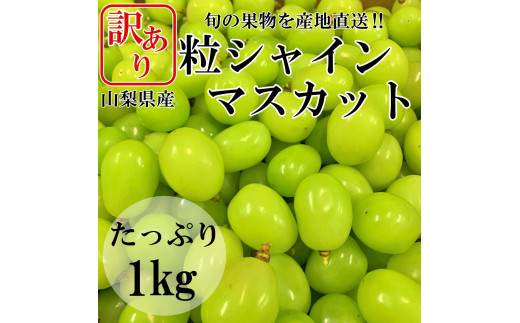 山梨県笛吹市のふるさと納税 | 商品一覧 | セゾンのふるさと納税