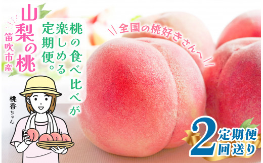 2024年先行予約＞【山梨県産 旬の桃 定期便 2回送り】計4kg以上 2kg