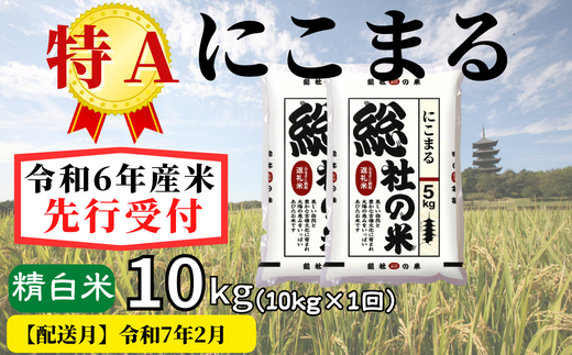 令和6年産】特Aにこまる【精白米】10kg 岡山県総社市産米〔令和7年2月