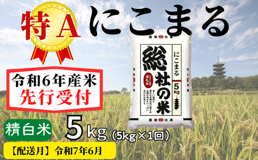 令和6年産】特Aにこまる【精白米】5kg 岡山県総社市産米〔令和7年6月