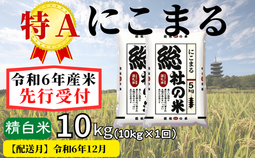 令和6年産】特Aにこまる【精白米】10kg 岡山県総社市産米〔令和6年12月