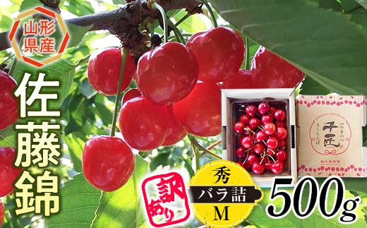 農業者支援】《先行予約》ご家庭用 2024年 山形県産 さくらんぼ