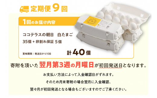 9ヵ月定期便】ココテラスの朝日（白たまご）35個 + 5個保証（計40個