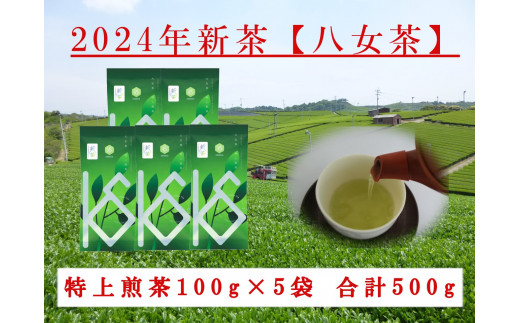 【2024年新茶予約】八女茶 特上煎茶100g×5袋【2024年5月上旬発送予定】