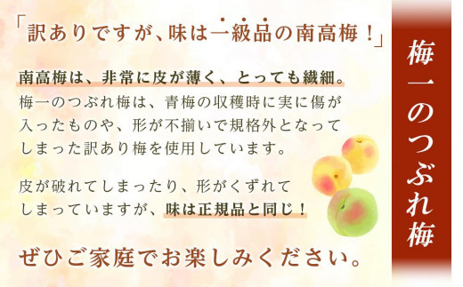 隔月定期便6回】紀州南高梅《つぶれ梅セット》はちみつ梅 塩分3%(1.2kg