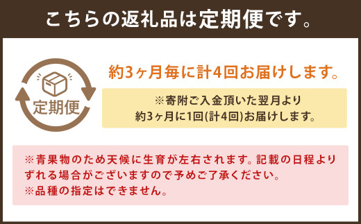 【定期便4回】旬のフルーツ便F 小玉スイカ ぶどう メロン いちご【養生市場】