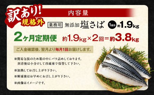 【2ヶ月定期便】【訳あり規格外】 業務用 無添加塩さば 1.9kg