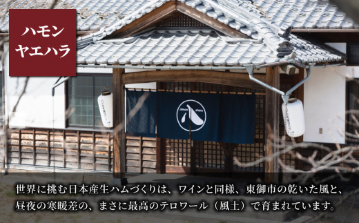 長野県東御市のふるさと納税 【信州オレイン豚】生ハム 原木 12本オーナー　18ヶ月〜24ヶ月熟成( Jamon 8 ehara / ハモンヤエハラ)｜国産 長野県 東御市 八重原