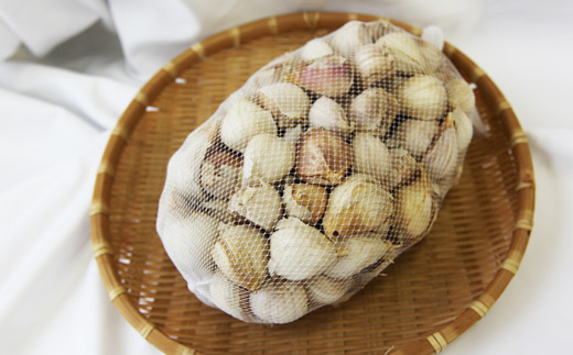 写真は1kgの量です。ネットに入れた状態で送ります。