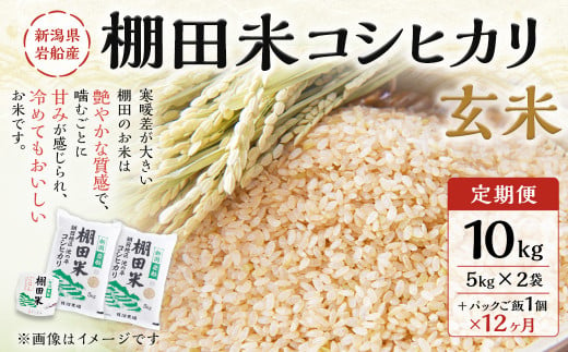 【定期便：12ヶ月連続でお届け】【令和6年産米】新潟県岩船産 棚田米コシヒカリ 玄米10kg ＋ 棚田米コシヒカリのパックごはん(150g×1個)×12ヶ月 1067047 1091054 - 新潟県村上市