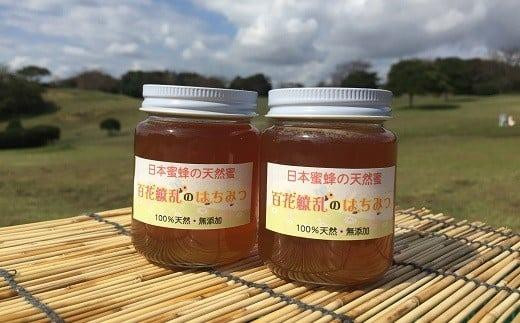 日本みつばちの天然蜜　160g×2本 848667 - 福島県いわき市