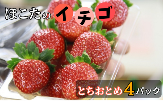 【1月発送】JＡほこた　なだろう　いちご（とちおとめ4パック） 515983 - 茨城県鉾田市