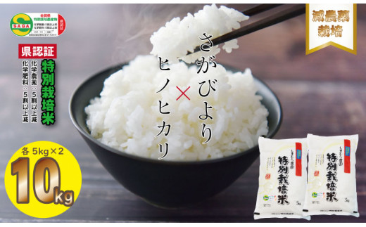 佐賀県認定 特別栽培米 食べ比べ「減農薬米」さがびより・ひのひかり（5㎏×各1袋）しもむら農園  957934 - 佐賀県小城市