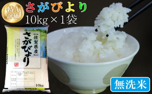 新米 令和5年産 さがびより 無洗米 20kg (10kg×2袋)【特A米 米