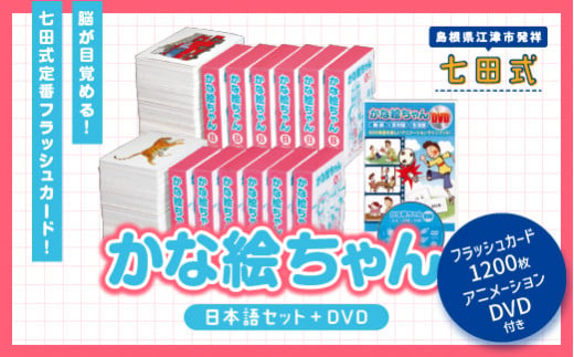 江津市限定返礼品：七田式ドッツセット SC-55 しちだ 七田式 右脳 