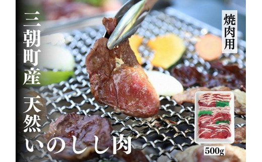 猪肉 三朝町産 焼肉用 ミックス スライス 500g 1027758 - 鳥取県三朝町