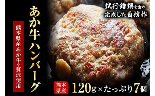 あか牛ハンバーグ 熊本県産あか牛を使用した贅沢ハンバーグたっぷり7個入り あか牛 赤牛 あかうし《30日以内に出荷予定(土日祝除く)》 熊本県 葦北郡 津奈木町