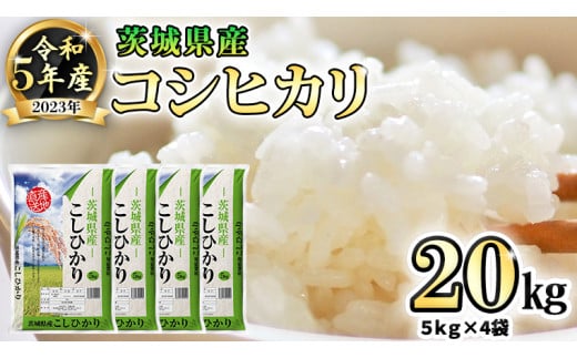 令和3年★新米★茨城産コシヒカリ20キロ9/10収穫　クリーン精米（無洗米）