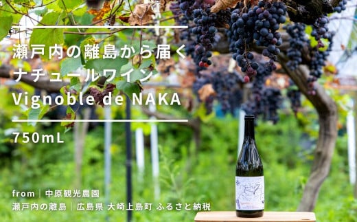 瀬戸内の離島から届くナチュールワイン 750mL【Vignoble de NAKA 2022 rouge MBA】 1123294 - 広島県大崎上島町