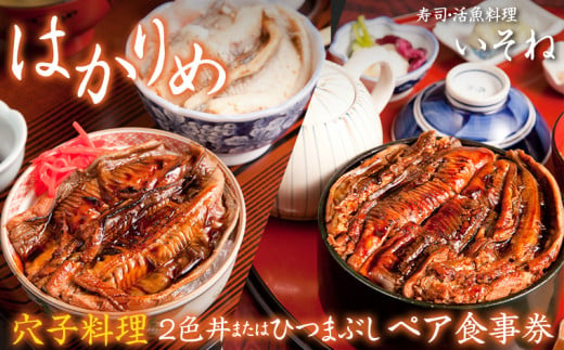寿司・活魚料理 いそね　はかりめ（穴子）「２色丼」又は「ひつまぶし」ペア食事券 1264254 - 千葉県富津市