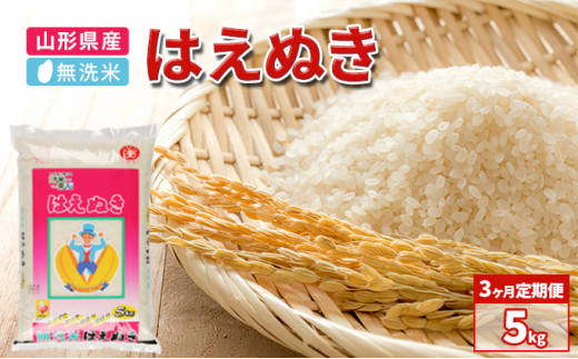 2ヶ月定期便》山形県産 無洗米 はえぬき 5kg×2ヶ月(計10kg)【山形県産