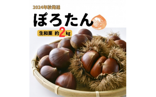 食品ポロタンぽろたん生栗♪大粒 2L～3Ｌ2.7K 栗 安心安全！生産出品