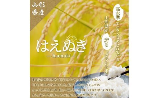 2ヶ月定期便》山形県産 無洗米 はえぬき 10kg(5kg×2袋)×2ヶ月(計20kg