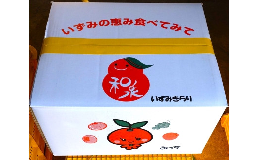 キャラクター「いずみきらり君とみっちちゃん」和泉市果樹振興会みかん箱でお届けします