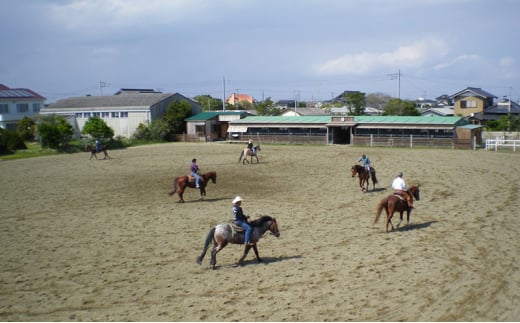 SUNSHINE STABLES]サンシャインスクーリングパック フリーデイ（全日） [№5743-0412] - 千葉県九十九里町｜ふるさとチョイス  - ふるさと納税サイト