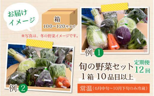 12ヶ月連続お届け】農家直送 旬の野菜セット 10品目以上 1箱 - 福井県あわら市｜ふるさとチョイス - ふるさと納税サイト