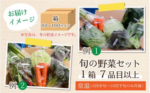 1週間以内に発送！】農家直送 旬の野菜セット 7品目以上 1箱 - 福井県