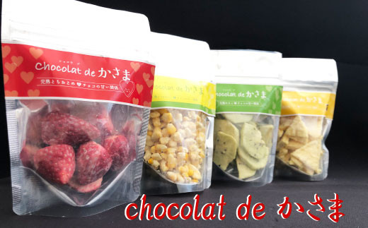 Chocolat de かさま おかしな果実ショコラ ４種セット 1198658 - 茨城県笠間市