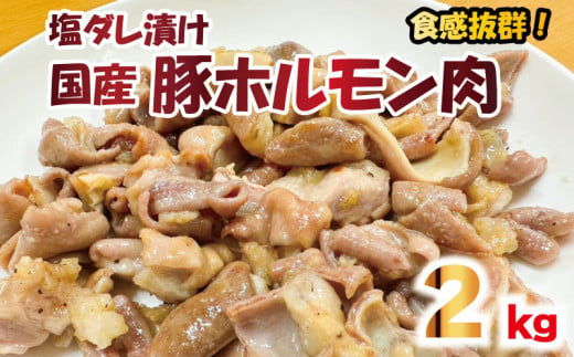  豚肉 やみつき ホルモン 塩ダレ漬け 約2kg 炒めもの お鍋 小分け 冷凍 産地直送 徳島県産
