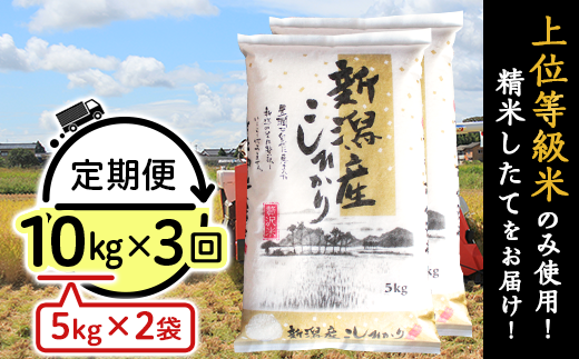 K103【3ヶ月連続お届け】新潟県産コシヒカリ10kg（5kg×2袋） 1265815 - 新潟県胎内市