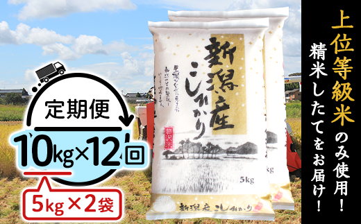 K1012【12ヶ月連続お届け】新潟県産コシヒカリ10kg（5kg×2袋） 1265817 - 新潟県胎内市