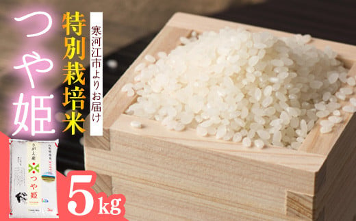 [2024年6月前半]特別栽培米 「つや姫」 5kg(5kg×1袋)令和5年産 2023年産 山形産 008-C-JA032-06前