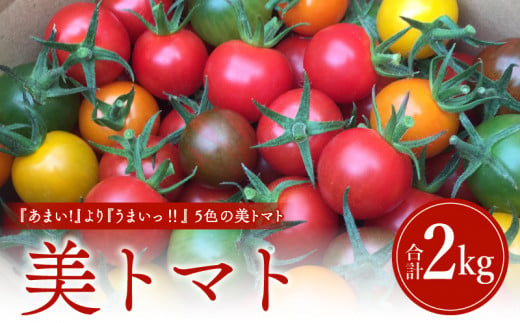 美トマト（5色）２kg_M317-003 1171903 - 宮崎県宮崎市