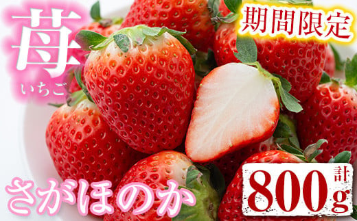 No.457-04 ＜2025年4月発送分＞鹿児島県産さがほのか(400g×2個・計800g)※時期によりさつまおとめ又はぴかいちごに変更になる可能性があります。国産 九州産 イチゴ 苺 いちご 果物 フルーツ【仲村雅農園】