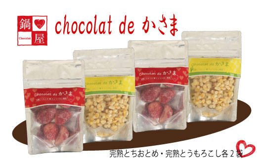Chocolat de かさま おかしな果実ショコラ 完熟とちおとめ・とうもろこしセット 1175479 - 茨城県笠間市