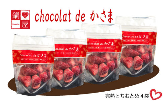 Chocolat de かさま おかしな果実ショコラ 完熟とちおとめの詰め合わせ 1175480 - 茨城県笠間市