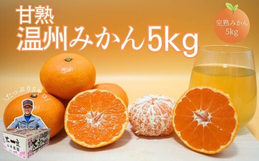 [佐賀県太良産]山本農園『甘熟温州みかん 5kg』(10月中旬〜1月下旬出荷予定)