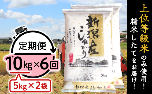 K106【6ヶ月連続お届け】新潟県産コシヒカリ10kg（5kg×2袋） 1265816 - 新潟県胎内市